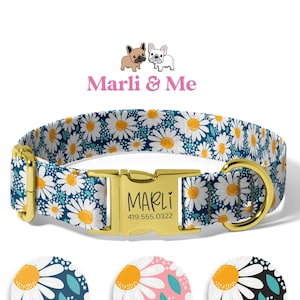 Daisy Dog Collars, Personalized Dog Collars, Custom Engraved Dog Collars, Girl Dog Collars, BLue Daisy Dog Collar