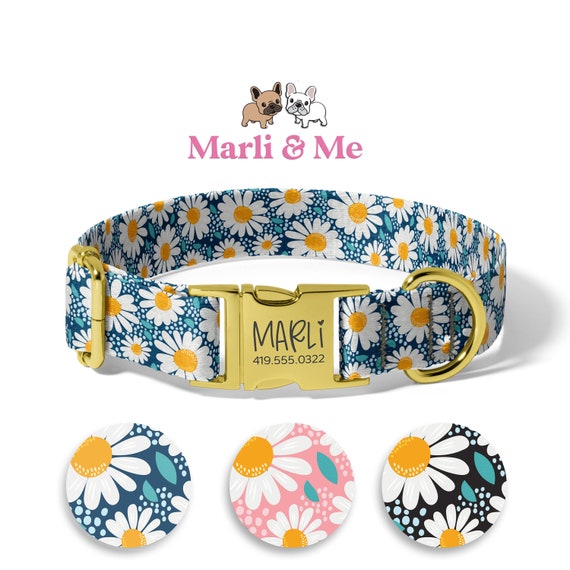 Daisy dog collars discount