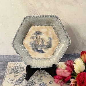Ridgway Ironstone Transferware Plate “Doria” Stained and Crazed