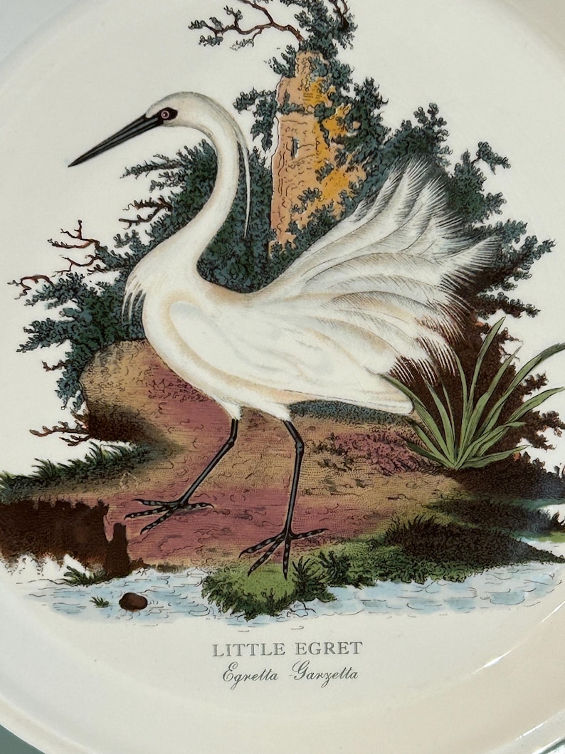 May include: A white ceramic plate featuring a detailed illustration of a Little Egret bird. The bird has a long neck and black beak, standing near a small stream with green foliage and a rocky background. The text "LITTLE EGRET, Egretta Garzetta" is below the bird.