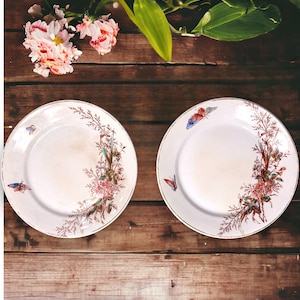 Floral luncheon plates, made in England Late 1800’s, Ironstone China Warranted set of 2