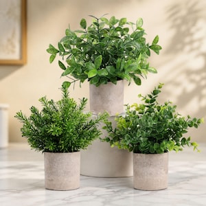 May include: Three artificial green plants in cylindrical light gray pots. The top plant has broad, oval-shaped leaves. The bottom left plant features dense, needle-like foliage. The bottom right plant has small, rounded, light green leaves.