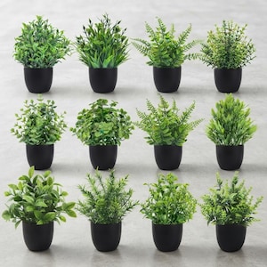 May include: A collection of twelve artificial green plants, each potted in a small, smooth, matte black container. The plants feature various leaf shapes and textures, ranging from rounded foliage to needle-like sprigs, all in shades of green.