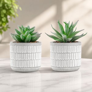 May include: Two artificial succulent plants in matching cylindrical grey pots. Each pot features a textured exterior with vertical white indentations arranged in horizontal bands. The plants have green leaves with pointed tips and a smooth finish.