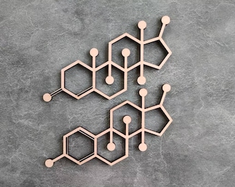 Testosterone Estrogen Wall Decor, Hormone Wall Decor, Estrogen Wall Art, Testosterone Wall Art, Biological Wall Decor, Molecule Wall Decor