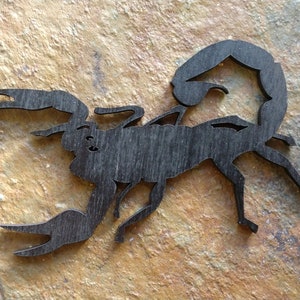 Scorpion image,  Scorpion wall art,