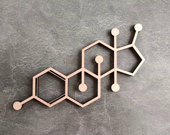 Estrogen Wall Decor, Hormone Wall Decor, Wall estrogen Wall Art, minimalistic wall decor Biological Wall Decor, Molecule Wall Decor