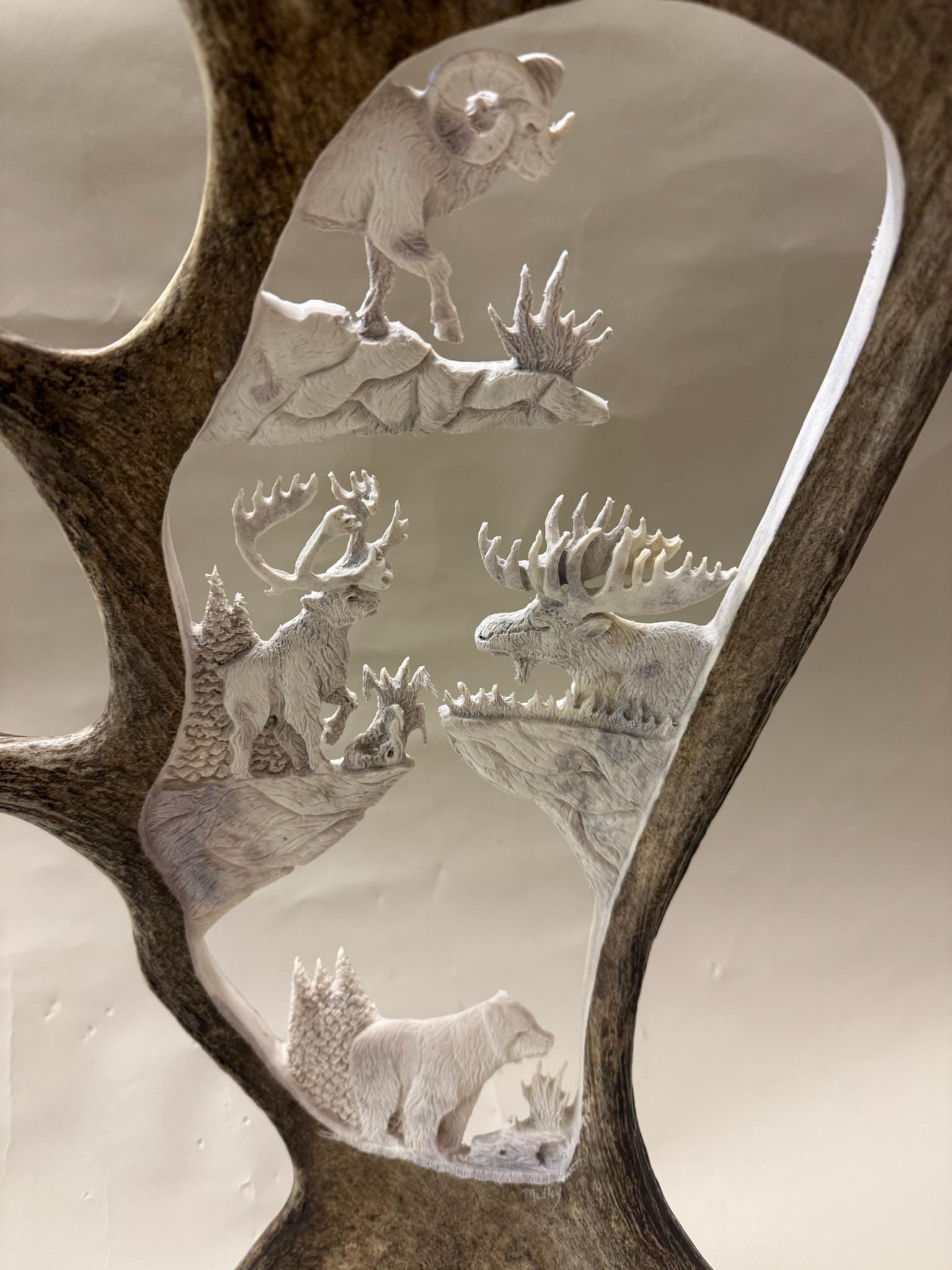 Alaska Big Four- Ram, Moose, Bear, Caribou or Mountain Goat (hand