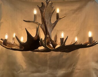 May include: A large antler chandelier with eight light bulbs. The antlers are a natural brown color and the chandelier is hanging from a chain.