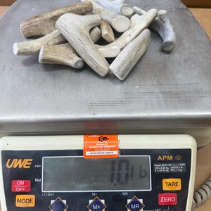 1lb SALE! Deer Antler Dog Chews (10chews) Small Whole Deer Antler 4&quot; Tines