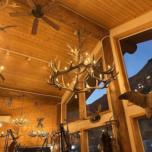 Real Elk Antler Chandeliers 72x52&quot; 19 Lights (Home, Cabin, Lodge Decor) Artist Direct and Ready to Ship, Northwest Art, Made in USA