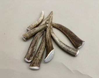May include: A group of six antler dog chews. The antlers are a light brown color with white tips. The antlers are all different sizes and shapes.