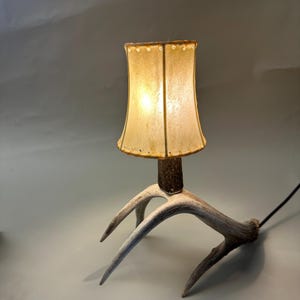 May include: A rustic table lamp with a cream-colored lampshade and a base made from an antler. The lamp has a warm glow, and the antler base has a natural, textured appearance. The lamp's cord is black.
