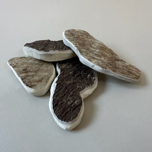 May include: A pile of four irregularly shaped, light brown and dark brown pieces of antler with white edges.