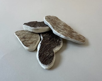 May include: A pile of four irregularly shaped, light brown and dark brown pieces of antler with white edges.
