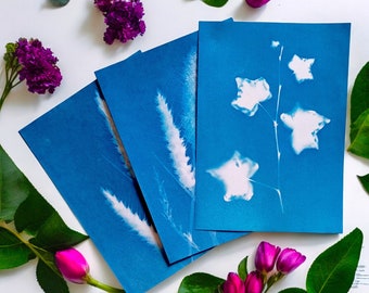 Cyanotype Starter Kit, Cyanotype Printing Kit, Sun Printing, Solar Printing, Craft Kits For Kid, Diy Painting, Cyanotype A5