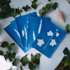 Kit per stampa cianotipica semplice, kit per stampa solare, kit per stampa solare, kit artigianali per bambini, pittura fai da te, carta cianotipica A5