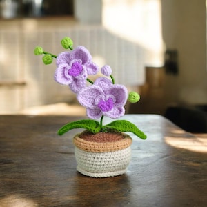 Può includere: Una pianta di orchidea all'uncinetto in un vaso bianco con un bordo marrone. L'orchidea ha due fiori viola con foglie verdi.