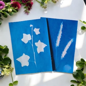 Carta cianotipica, Facile da stampare, Kit stampa cianotipia, Stampa solare, Stampa solare, Kit artigianali per bambini, Pittura fai da te