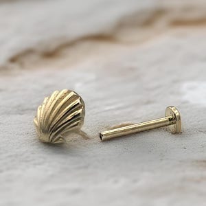 Piercing de concha de oro macizo de 14 quilates: pendiente de cartílago con textura realista y rosca trasera, piercing para trago, piercing de oro macizo con parte trasera plana.