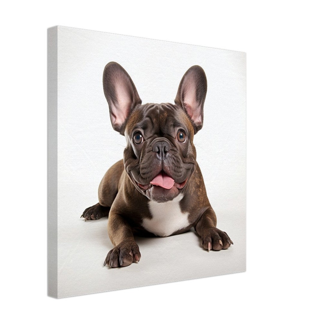Adorable French Bulldog Puppy Cute Frenchie Smile Canvas Print Perfect ...