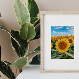 Sunflower Field Photo Print: Bright Floral Nature Decor (Digital Download)