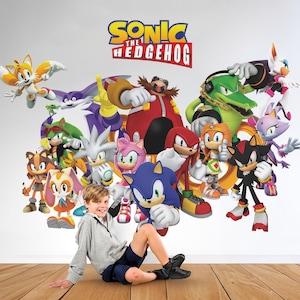 Adesivo da parete rimovibile Sonic The Hedgehog Amy Rose Adesivo da parete per arredamento camera preppy
