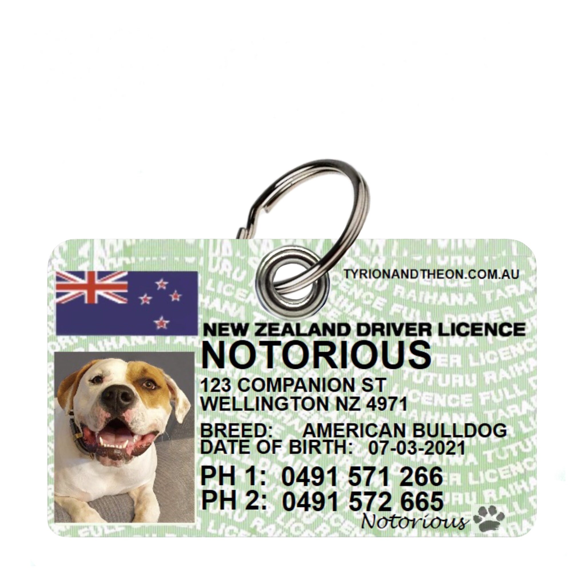 License hot sale dog tag