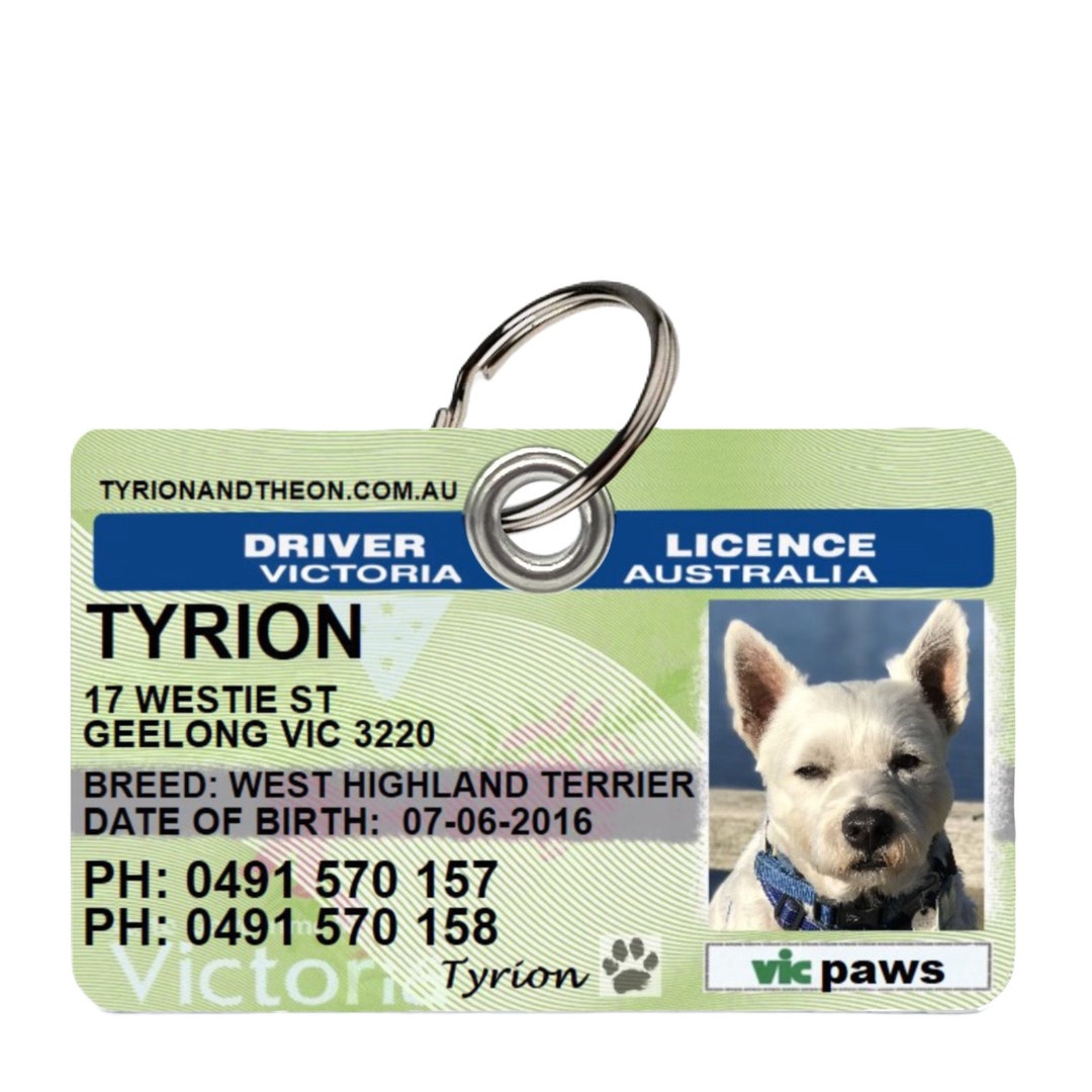 Victoria Driver License Pet Collar Tag License ID Tag Custom Dog Tag cat-tag-cat-id-tag-personalized-cat-tag-kitten-tag-etsy-uk