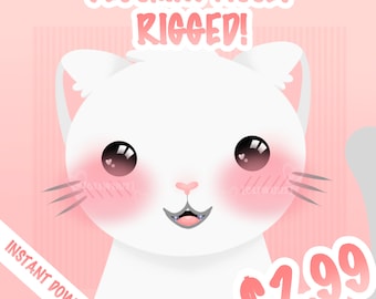 HQ Rigged Blush Vtuber Asset Bundle, Vtuber Kawaii Accessory, Rigged Vtuber Accessory Ready to Use, Vtuber Funny Asset, Vtube Studio Asset