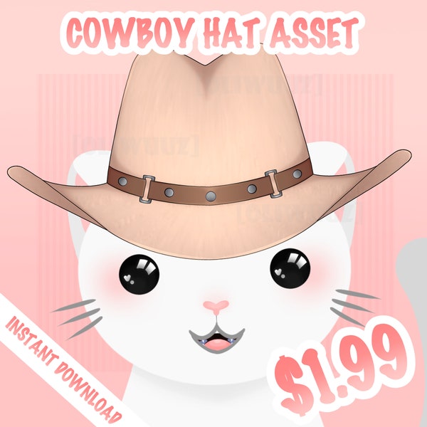 HQ Cowboy Hat Vtuber Asset, Vtuber Cool Accessory, Un-Rigged Vtuber Facial Item Ready to Use, Vtuber Country Asset, Cute Vtuber Head Asset
