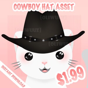 May include: A white cat wearing a black cowboy hat with a silver buckle and a black band. The hat has a wide brim and is tilted slightly to the side. The cat has large, black eyes and a pink nose. The background is pink with white stripes.