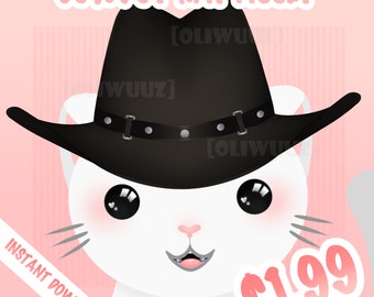 HQ Cowboy Hat Vtuber Asset, Vtuber Cool Accessory, Un-Rigged Vtuber Facial Item Ready to Use, Vtuber Country Asset, Cute Vtuber Head Asset