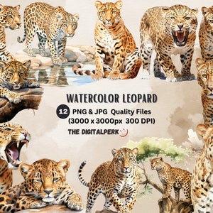 Aquarell Leopard Clipart - für kommerzielle Nutzung und andere - PNG, JPG Dateien Format sofortiger Download.