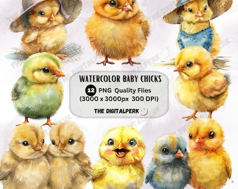 watercolor cute baby chicks clipart - for commercial use and others - 12 PNG files format instant download