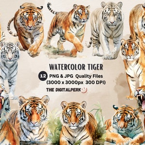 watercolor tiger clipart - for commercial use and others - PNG, JPG files format instant download.