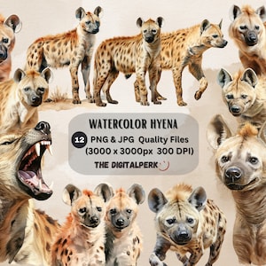 watercolor hyena clipart - for commercial use and others - 12 PNG, JPG files format instant download