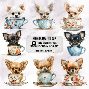 watercolor chihuahua in cup clipart bundle - for commercial use and others - 15 PNG files format instant download