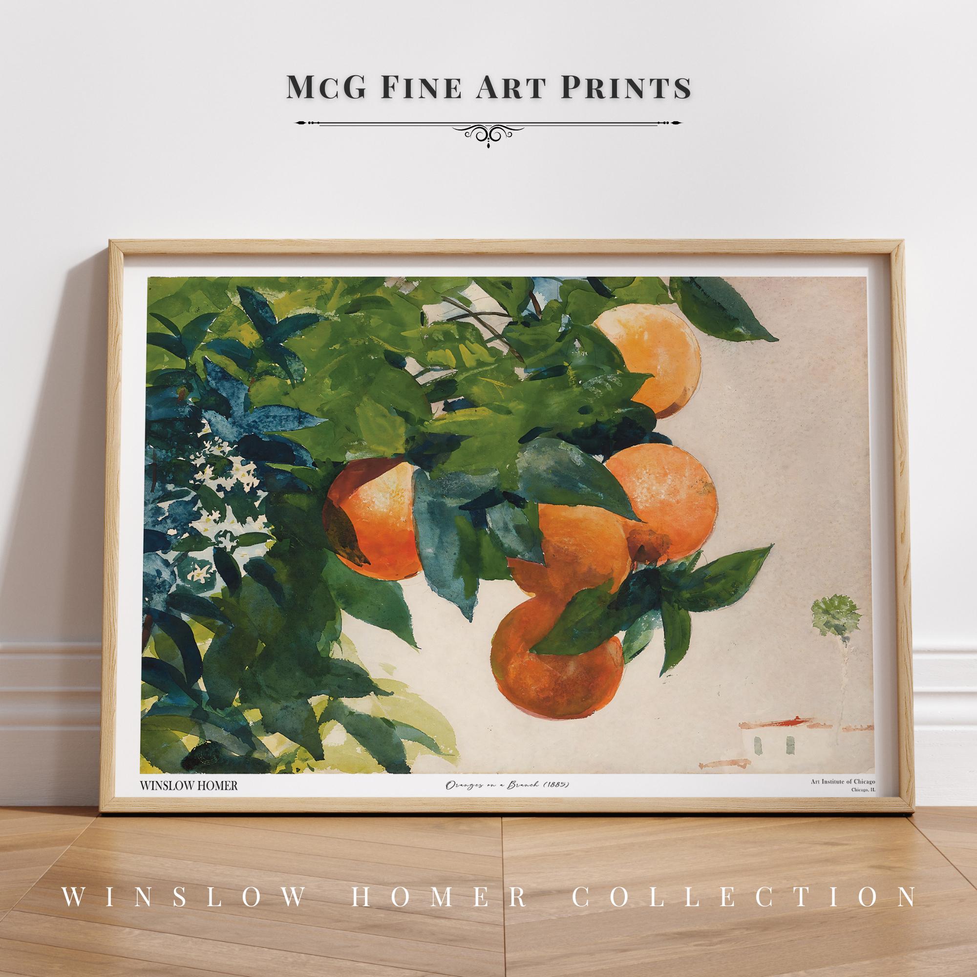 Oranges on a Branch Gallery Wall Art Print Vintage Fruit Tree Oil