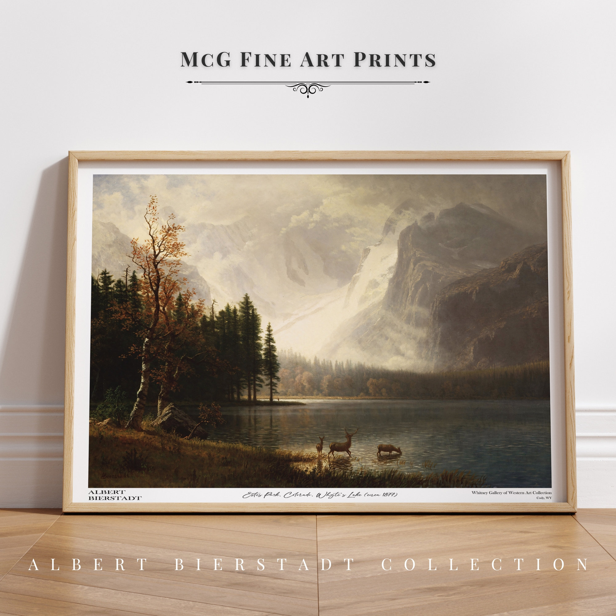 Park West Gallery - Etsy