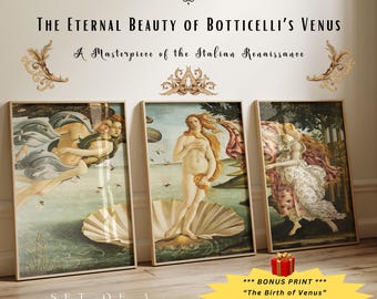 Juego de 3 láminas decorativas vintage de El nacimiento de Venus para pared, pintura al óleo antigua de la mitología griega + póster de Botticelli de regalo /#2300