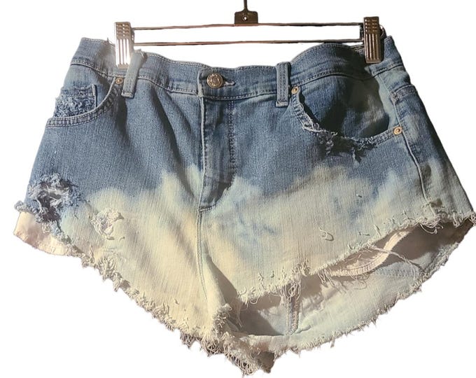 VINTAGE VANISH DENIM SHORTS/GARMENT DYE - VANISH BROWN