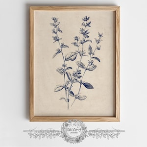Desenho botânico, arte, folhas antigas, esboço, impressão, desenho a lápis, ramo de oliveira, arte de parede botânica simples, esboço de ramo de oliveira para impressão
