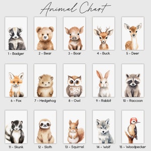 May include: A chart featuring 15 watercolor illustrations of different animals, each with a number and name. The animals include a badger, bear, boar, buck, deer, fox, hedgehog, owl, rabbit, raccoon, skunk, sloth, squirrel, wolf, and woodpecker.