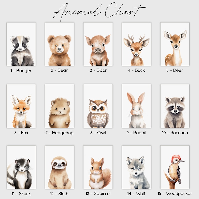 May include: A chart featuring 15 watercolor illustrations of different animals, each with a number and name. The animals include a badger, bear, boar, buck, deer, fox, hedgehog, owl, rabbit, raccoon, skunk, sloth, squirrel, wolf, and woodpecker.