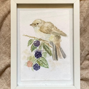 Opera d'arte ad acquerello fatta a mano - Dipinto originale di uccelli - Decorazione da parete unica per la casa - Illustrazione di animali - Senza cornice
