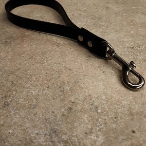 Durable Biothane Traffic Leash – Waterproof, Odorproof, Easy-Clean Short Dog Lead – Strong Grip Handle for Control & Safety