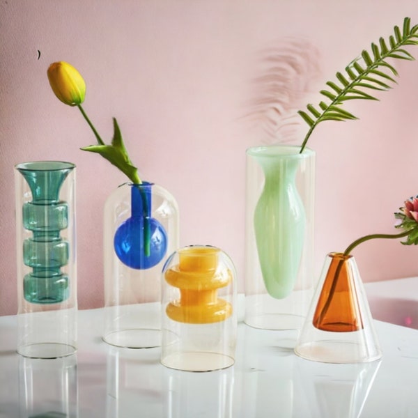 Terrarium Hydroponic Transparent Coloured Glass Vase | Flower Arrangement | Flower Vase | Home Gift | Home Decoration
