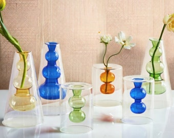 Hydroponic Transparent Coloured Glass Vase | Flower Arrangement | Flower Vase | Home Gift | Home Decoration