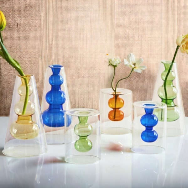 Hydroponic Transparent Coloured Glass Vase | Flower Arrangement | Flower Vase | Home Gift | Home Decoration